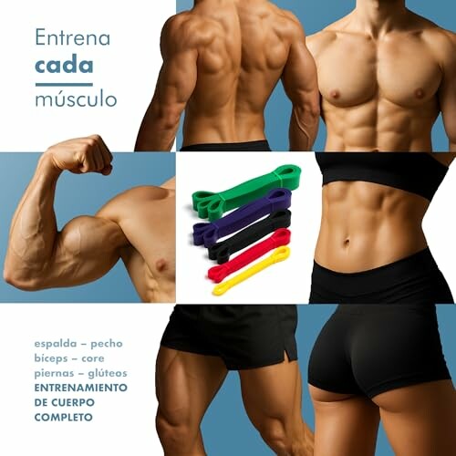 Cuerpos musculosos y bandas de resistencia para entrenamiento