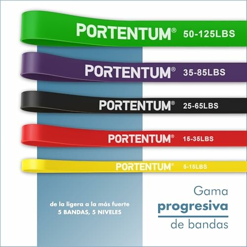Bandas de Resistencia PORTENTUM
